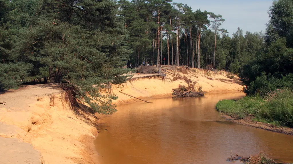 De Lutte - Lutterzand Dinkel